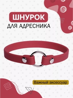 Ошейник для адресника