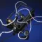 Noble Audio Onyx Black