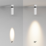 Накладной светодиодный светильник Maytoni FOCUS LED C055CL-L12W3K-SS-W