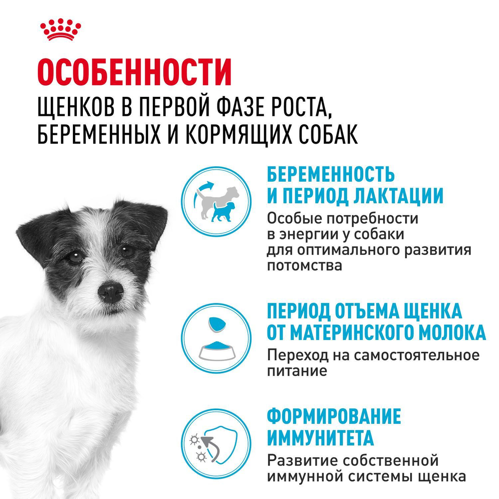 Royal Canin Mini Starter Мини Стартер Корм сухой для собак мелких пород в конце беременности в период лактации для щенков до 2-х месяцев 1кг