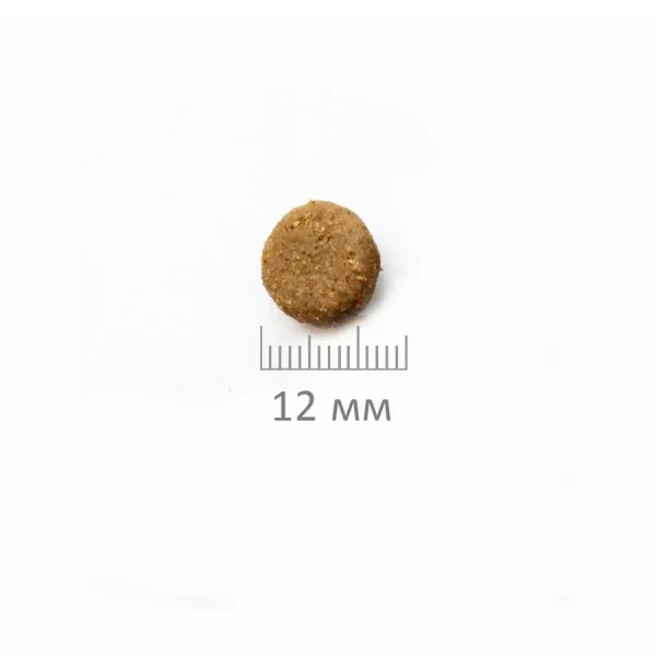 Сухой корм ProBalance Immuno Adult для взрослых собак с говядиной