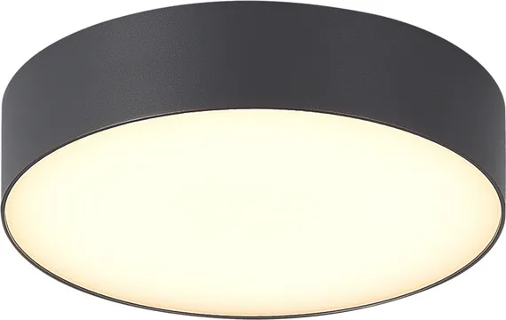 Потолочный светильник уличный Sun SL9518.702.01 ST Luce