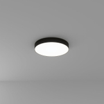 Потолочный светильник Arte Lamp FADO A7350PL-1BK, 1хLED