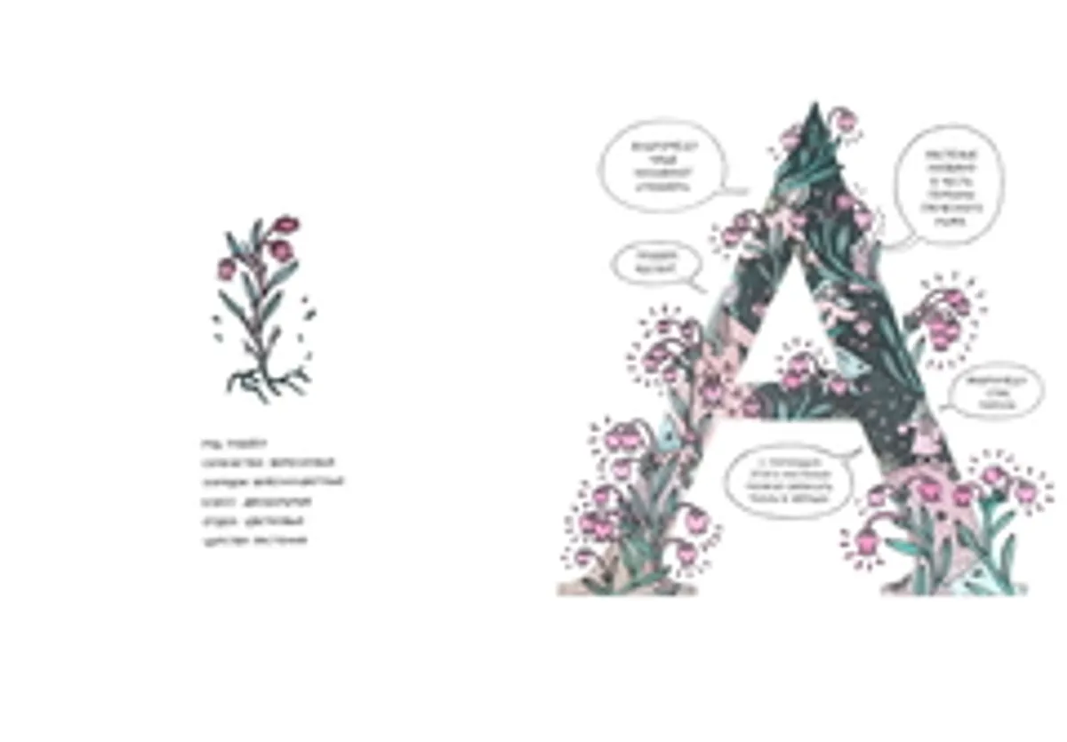 Азбука северных растений (Альтернативная обложка) (Б/У)