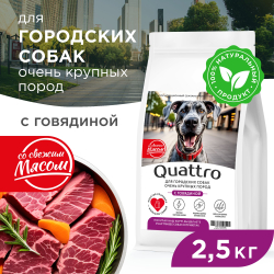 Корм сухой для взрослых собак очень крупных пород, премиум полнорационный комплекс, для городских собак, с говядиной, 2,5 кг, QUATTRO