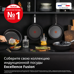 Кастрюля с крышкой Tefal Excellence Fusion 24 см G3414602