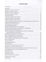 Клиническая анатомия стенок брюшной полости.Грыжи живота