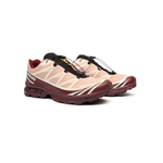 Кроссовки Salomon XT-6 GTX "Mahogany Rose"