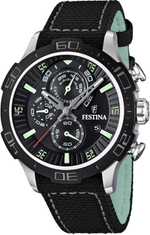 Мужские наручные часы Festina F16566/4