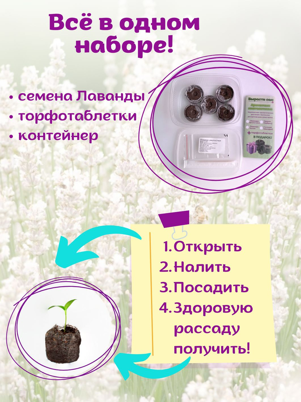 Лаванда белая морозостойкая, семена + торфяные таблетки Jiffy в подарок, 5 шт
