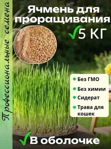 Ячмень для проращивания 5 кг
