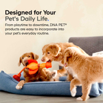 Codeage, ДНК Pet, порошок из говяжьего костного бульона, для собак, 90 г (3,175 унции)