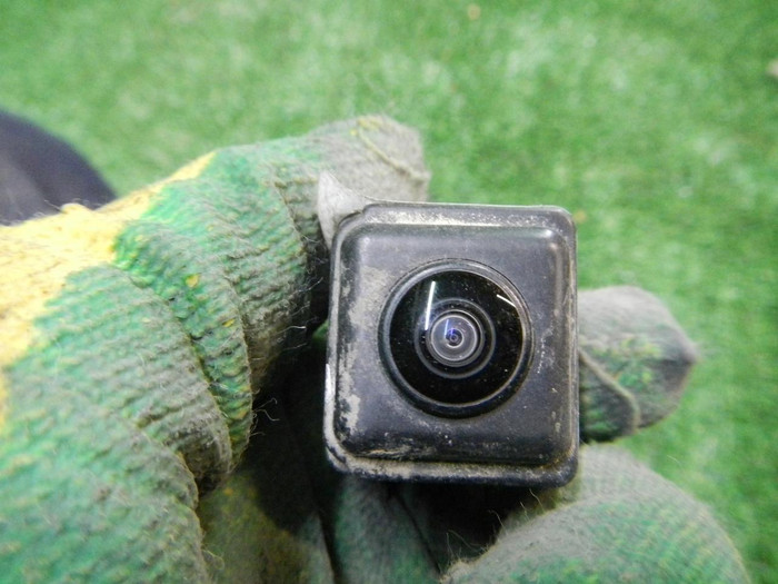 DSCN8825.JPG