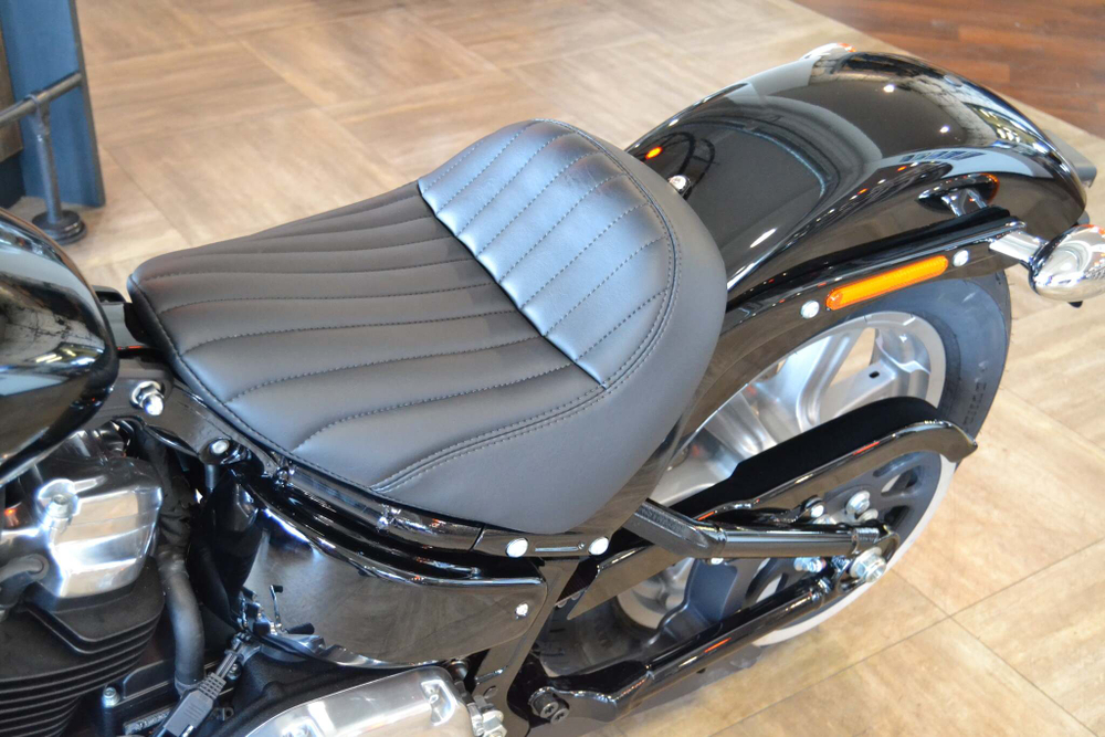 Мотоцикл Harley-Davidson Softail Standard 2022