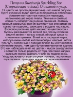 Петуния Сверкающая пчёлка Светуния Спарклинг Бее