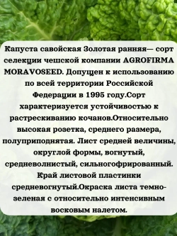 Семена Капуста савойская Золотая ранняя 1гр