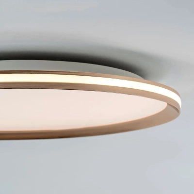 Потолочный cветильник LED4U L3020-500 GD