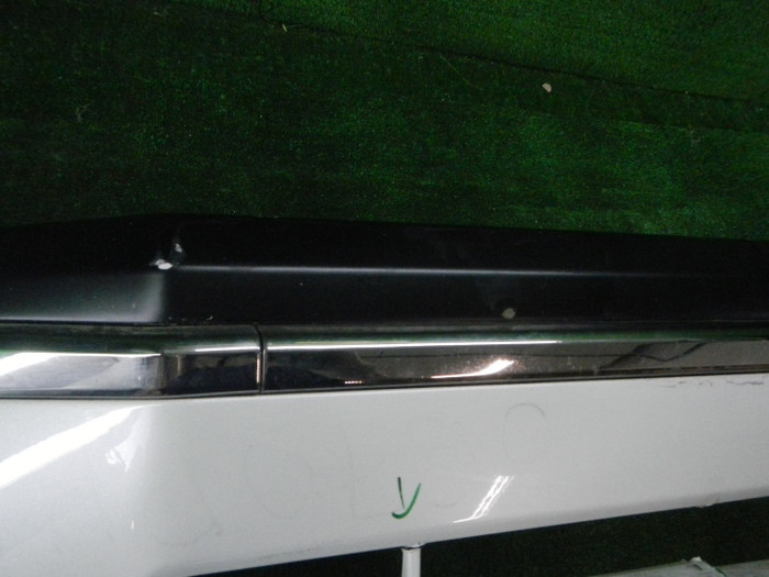 DSCN7110.JPG