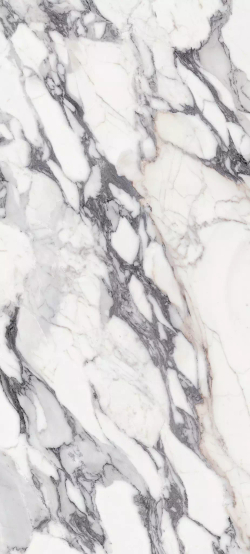 Керамогранит Magnum Les Origines de REX Argent Glossy 6mm