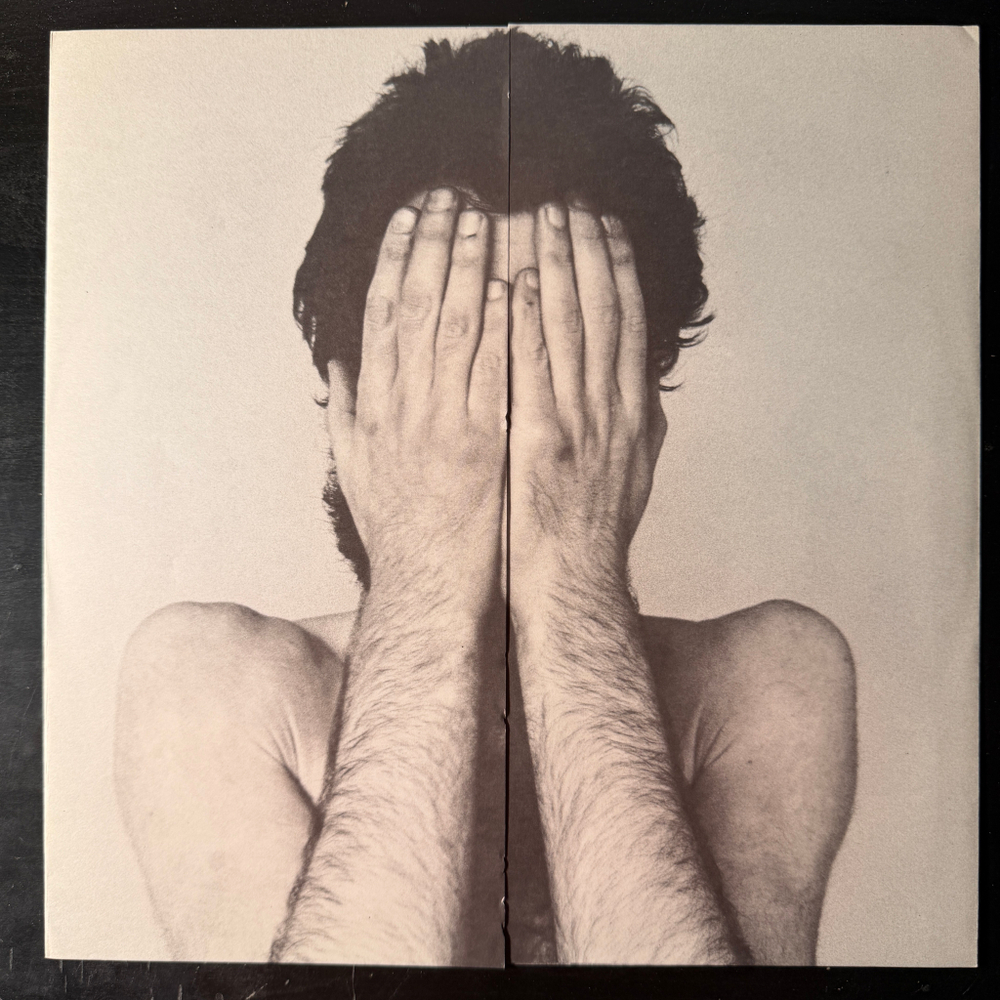 Peter Hammill ‎– The Future Now (Канада 1978г.)