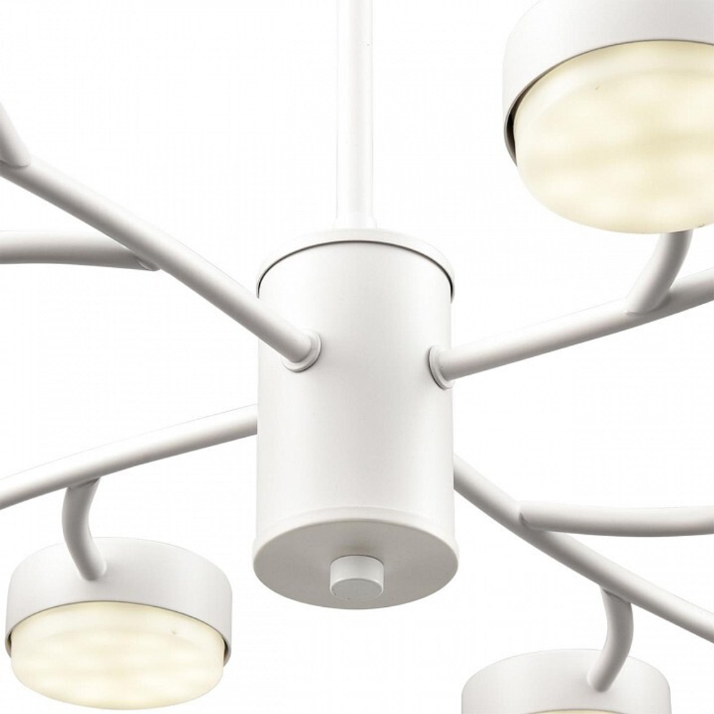 Люстра на штанге Lumion TORINA 8265/12