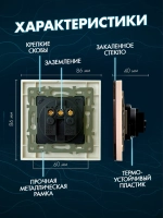 Розетка одинарная с заземлением из закаленного стекла