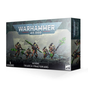 Necron Triarch Praetorians/Lychguard
