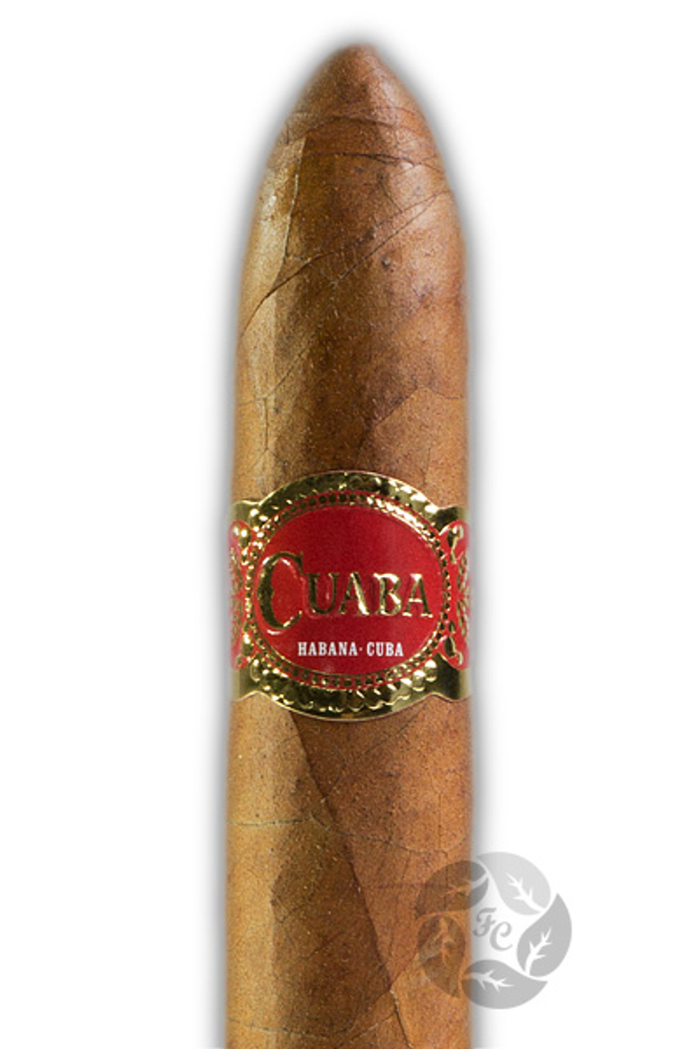 Cuaba Salomon