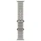 Умные часы Apple Watch Ultra 4 49 мм Natural Titanium Ocean Band Серый Translucent Gray