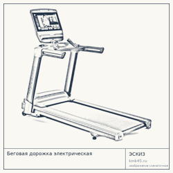 Беговая дорожка электрическая — от 1 210 000 ₽