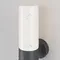 Настенный светильник уличный Willis O418WL-01GR Maytoni