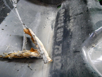 DSCN8364.JPG