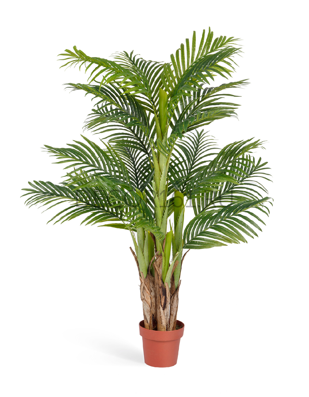 Пальма Арека Катеху в-140 см (Sensitive Botanic) (5 стволов, 18 листьев) 2/2 10.071409