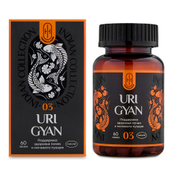 URI GYAN Аюрведический комплекс УРИ ГЯН Очищение почек 60шт