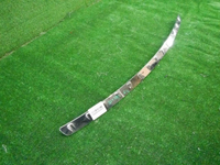 DSCN8593.JPG