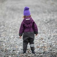 Комбинезон Softshell демисезонный "Слива"
