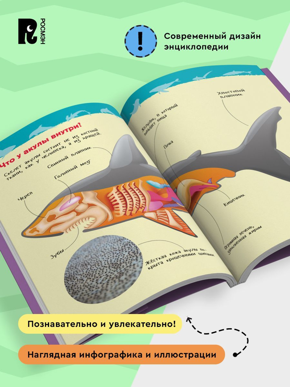 Акулы, киты и дельфины (Энциклопедия для детского сада)