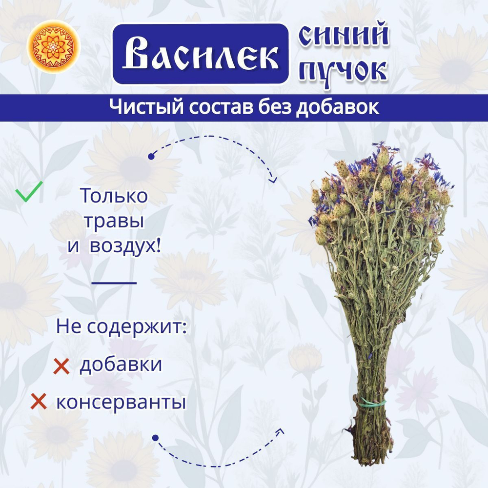 Василек пучок