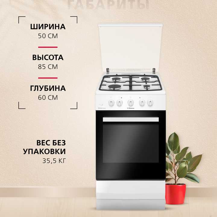 Газовая плита Hansa FCGW530253H