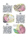 ШКЯ. Инструкция к жизни