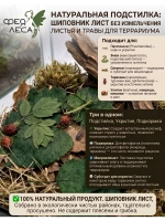 Шиповник лист подстилка подкормка укрытие