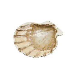 Блюдо для подачи 15*15 см h5,5 см 125 мл емкость для закусок Pearl Shell Frutti di Mare P.L. [1]