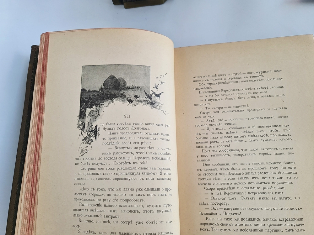 "С севера на юг. Путевые воспоминания старого журавля". Н.Н.Каразин. 1899 г.