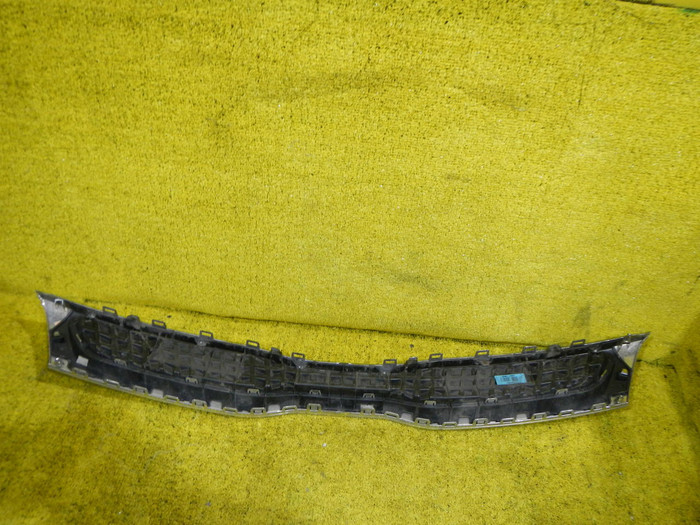 DSCN0972.JPG