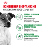 Royal Canin Mini Adult 8+ Мини Эдалт Корм сухой для взрослых собак мелких пород старше 8 лет 2кг