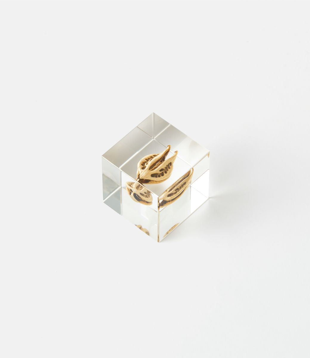 Sola Cube Tiger's Сlaw — куб из акриловой смолы