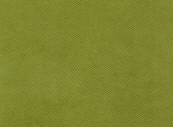 Велюр Verona apple green (Верона эппл грин) 38