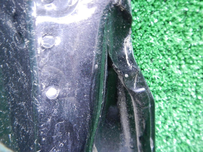 DSCN1263.JPG