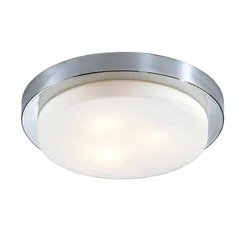 Настенно-потолочный светильник Holger 2746/3C Odeon Light