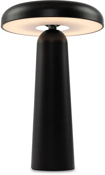 Интерьерная настольная лампа Mushroom FR6109TL-L4B Freya